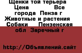 Щенки той терьера › Цена ­ 10 000 - Все города, Пенза г. Животные и растения » Собаки   . Пензенская обл.,Заречный г.
